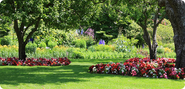 Ogród w Rawie Mazowieckiej