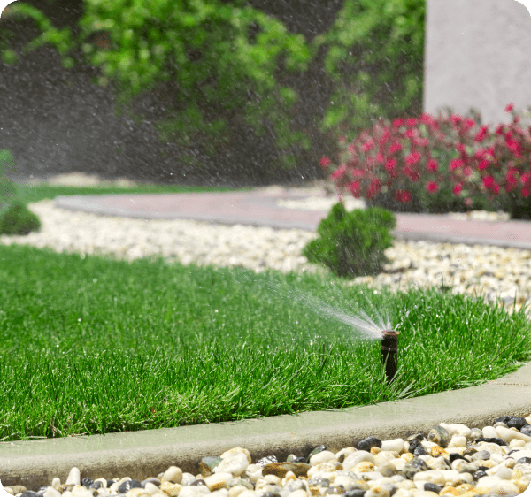 Nawadnianie ogrodu
