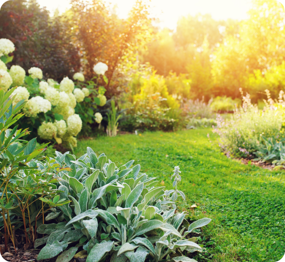 Ogród pokazujący doświadczenie Czas na Zieleń